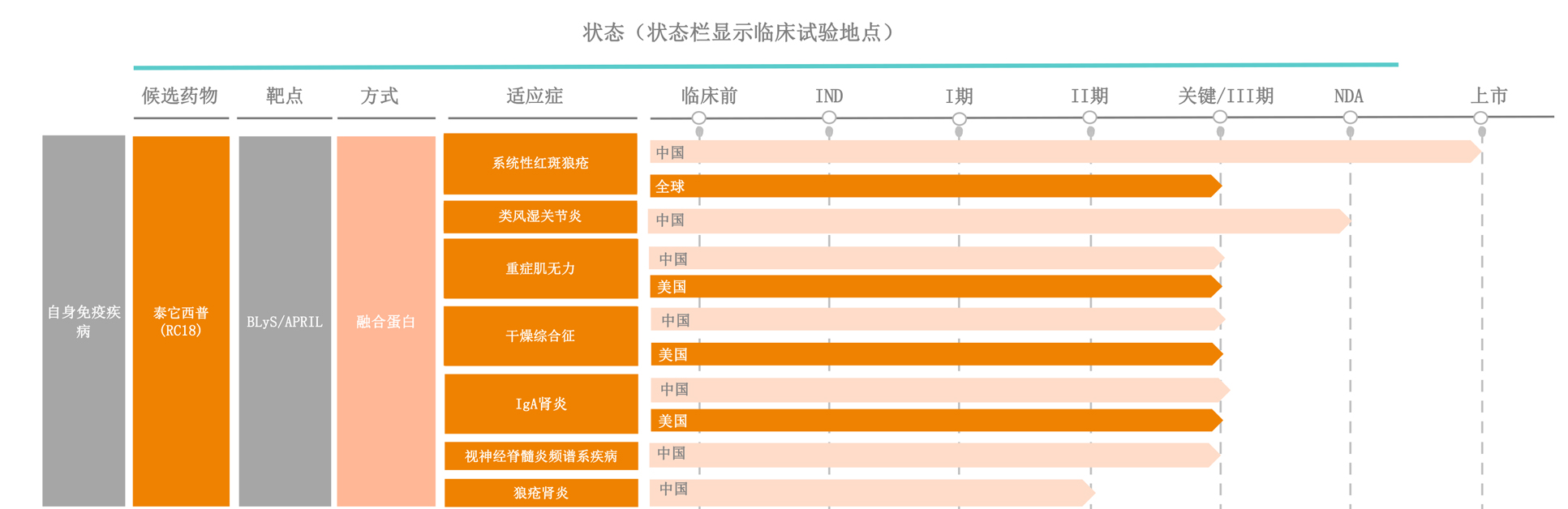 简体泰它西普.jpg