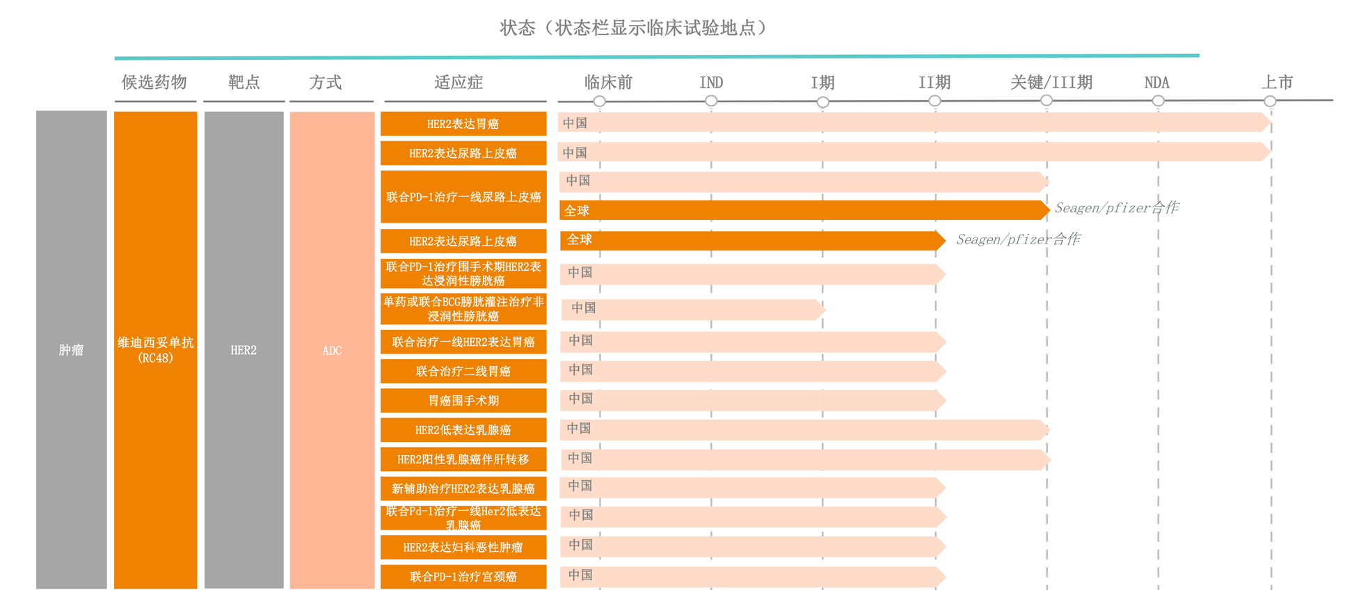 简体维迪西妥单抗.jpg